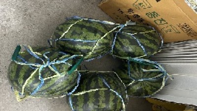 [후원] 아이조아어린이집, 시원한 수박 전달